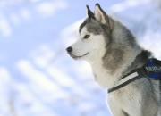 雷火电竞亚洲先驱-欧战之夜上演抢七式闪电战—罗马闪电三连击击沉黄色潜水艇