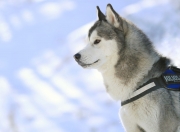 雷火电竞亚洲先驱-欧战之夜上演抢七式闪电战—罗马闪电三连击击沉黄色潜水艇